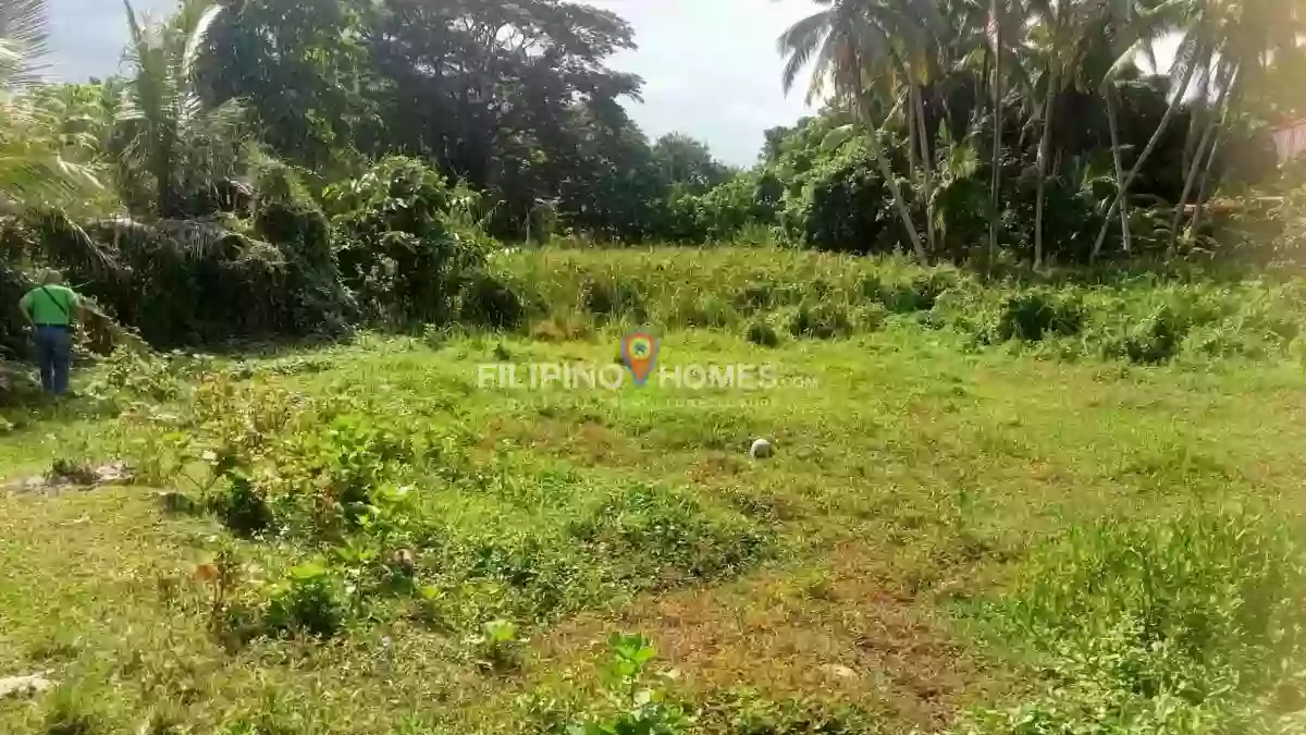 For Sale: Residential Lot in Sadaan, Midsayap — 375 sqm — Residential Lot in Midsayap, Cotabato, 9410 — Photo 2