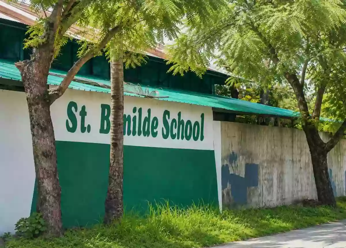 Prime Commercial Lot | 229 SQM | Perfect for Business & Investment (Just across St. Benilde School — Commercial Lot in Mansilingan, Bacolod City, Negros Occidental — Photo 3