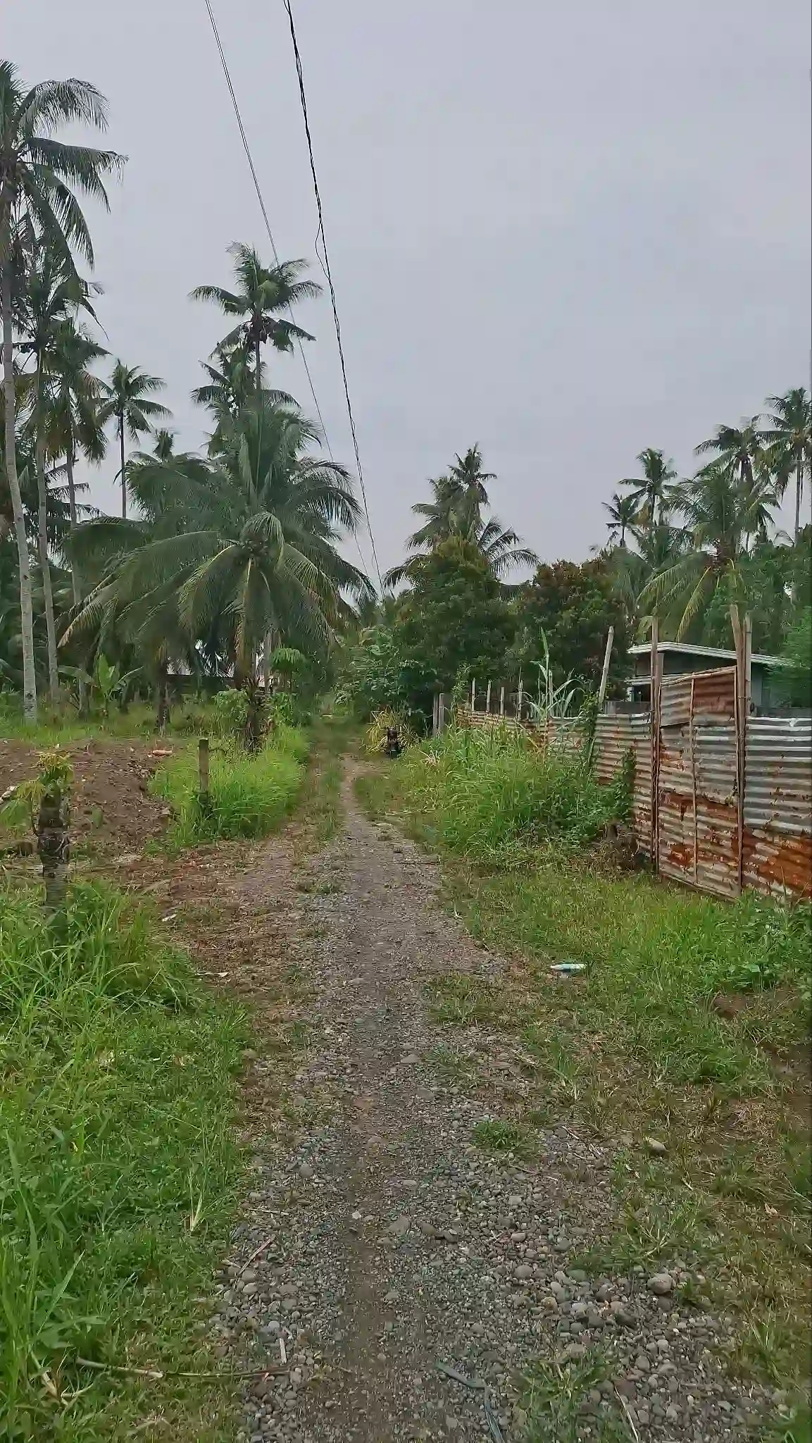 π‘ LOT FOR SALE β SAN MIGUEL, TAGUM CITY β Agricultural Lot in Tagum City, Davao del Norte, 8100 β Photo 3