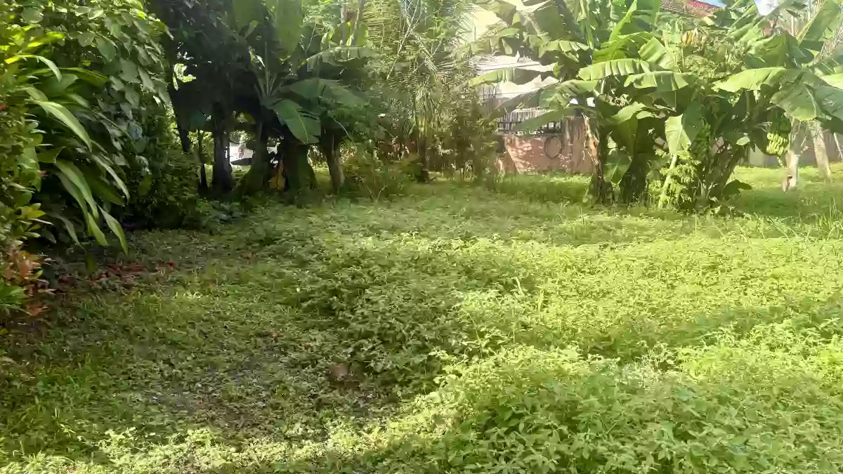 For Sale: Residential Lot in Panipuan, Mexico, Pampanga — 336 sqm — Residential Lot in Panipuan, Mexico, Pampanga — Photo 4