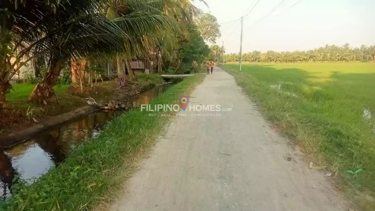 For Sale: Agricultural Lot in Sinawingan, Libungan — 7500 sqm — Agricultural Lot in Libungan, Cotabato, 9411 — Photo 4