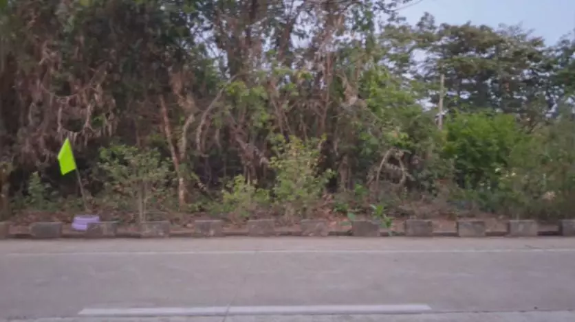 PRIME INVESTMENT IN PARADISE ISLAND PUERTO PRINCESA CITY, PALAWAN - photo 2