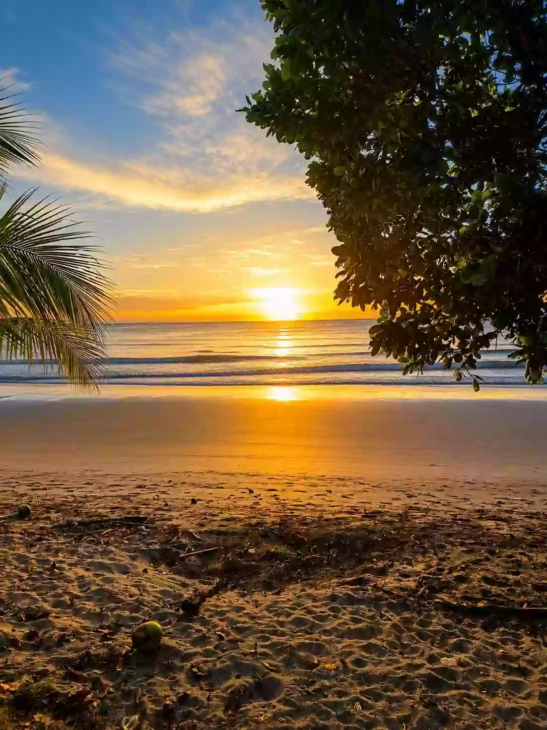 For Sale Beach Lot in Aporawan, Aborlan — 659 sqm — Beach Lot in Aborlan, Palawan, 5302 — Photo 7