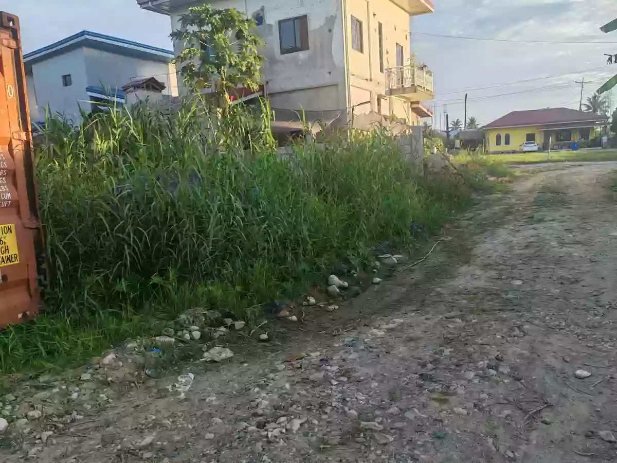 CLEAN TITLED LOT FOR SALE SURIGAO CITY — Residential Lot in Surigao City, Surigao del Norte, 8400 — Photo 5