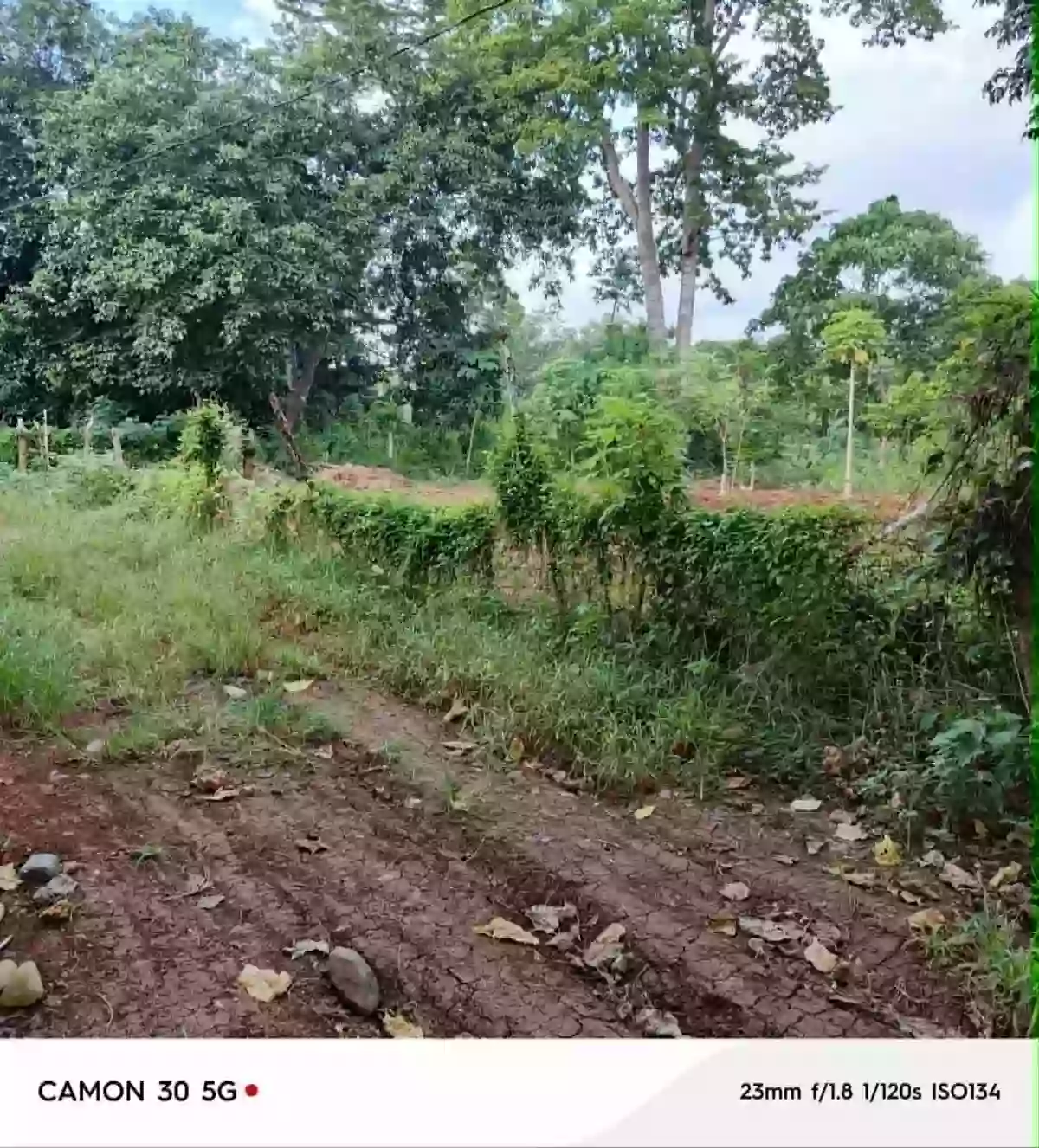 Rush Sale: Residential Lot in San Manuel, Puerto Princesa City — Investment — Residential Lot in Puerto Princesa City, Palawan, 5300 — Photo 2