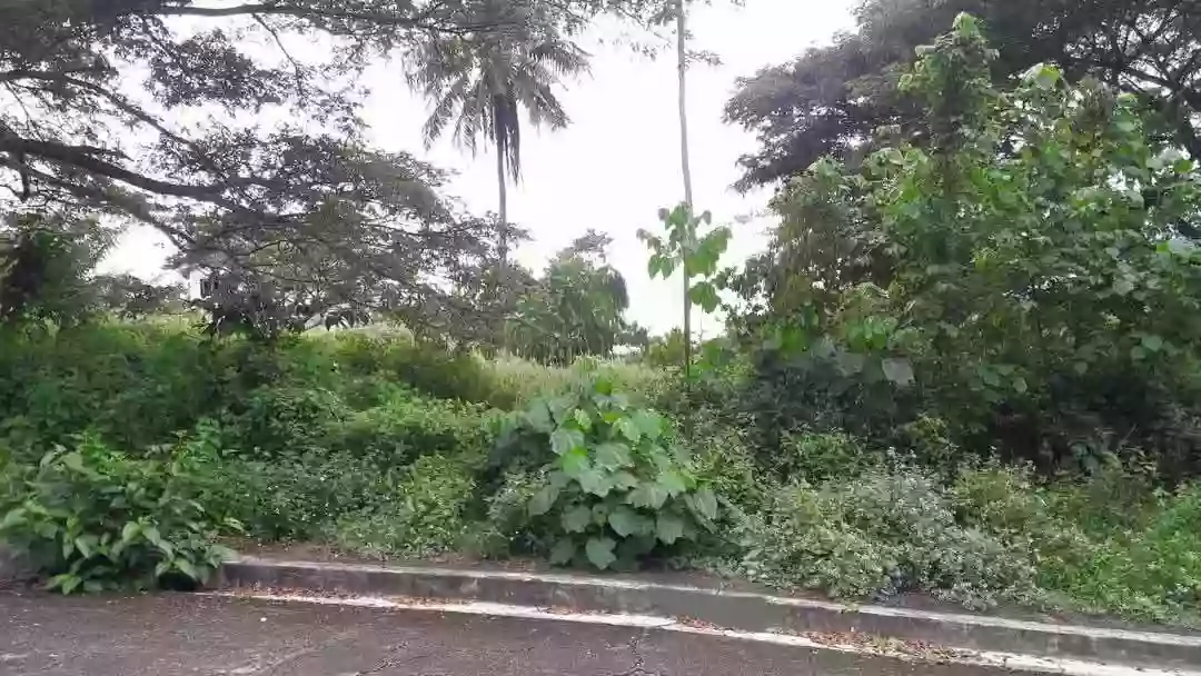 For Sale: Residential Lot in Pulangbato, Cebu City — 171 sqm