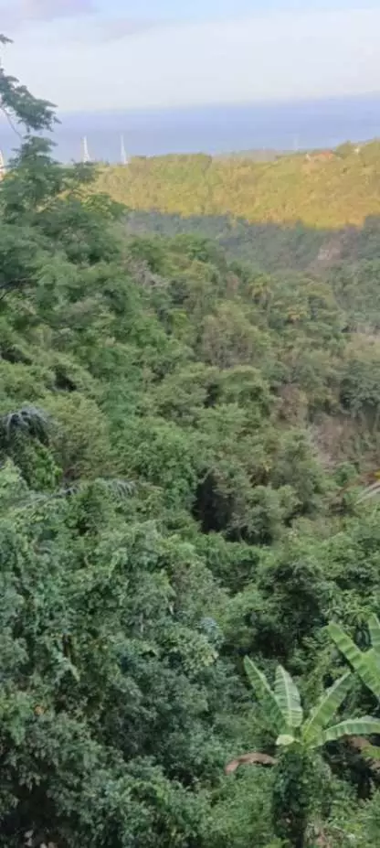 LOT FOR SALE IN JANAYJANAY, SAN JOSE, NEGROS ORIENTAL - photo 3