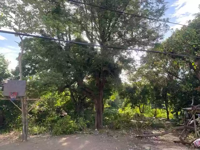 For Sale: 4000 sqm Residential Lot in Barangay 5 (Pob.), San Jose de Buenavista — Residential Lot in San Jose de Buenavista, Antique, 5700 — Photo 2