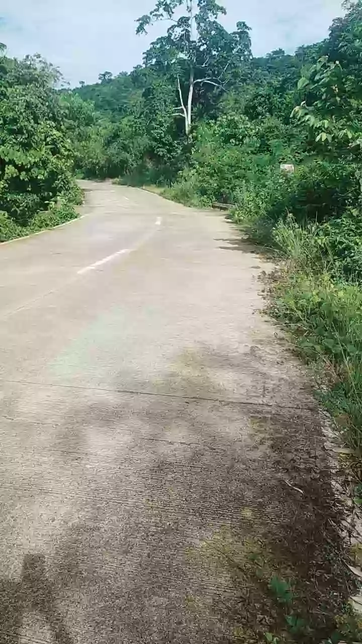 For Sale: Agricultural Lot in Bacungan, Puerto Princesa City — 45000 sqm — Agricultural Lot in Bacungan, Puerto Princesa City, Palawan — Photo 5