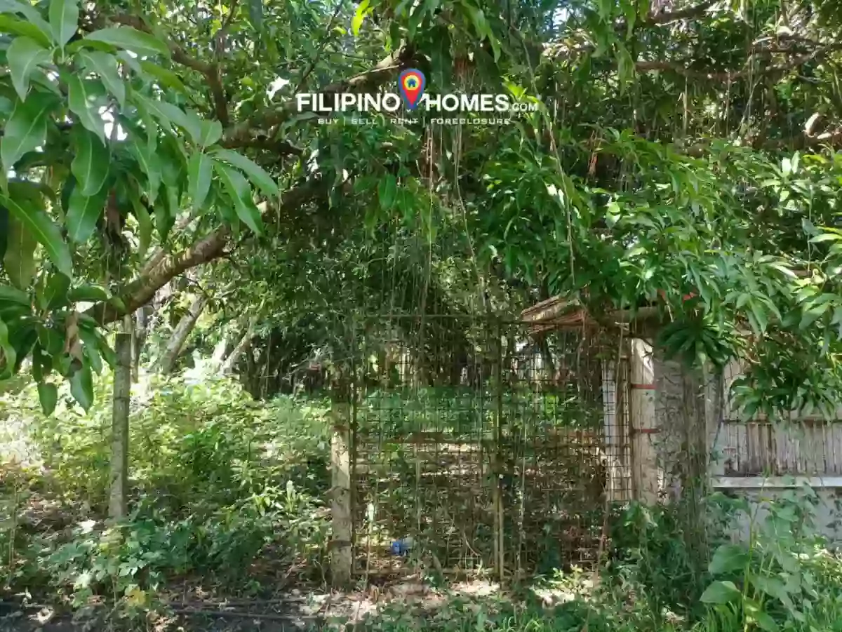 For Sale: 1711 sqm Agricultural Lot in Kiwanan, Midsayap — Agricultural Lot in Midsayap, Cotabato, 9410 — Photo 5
