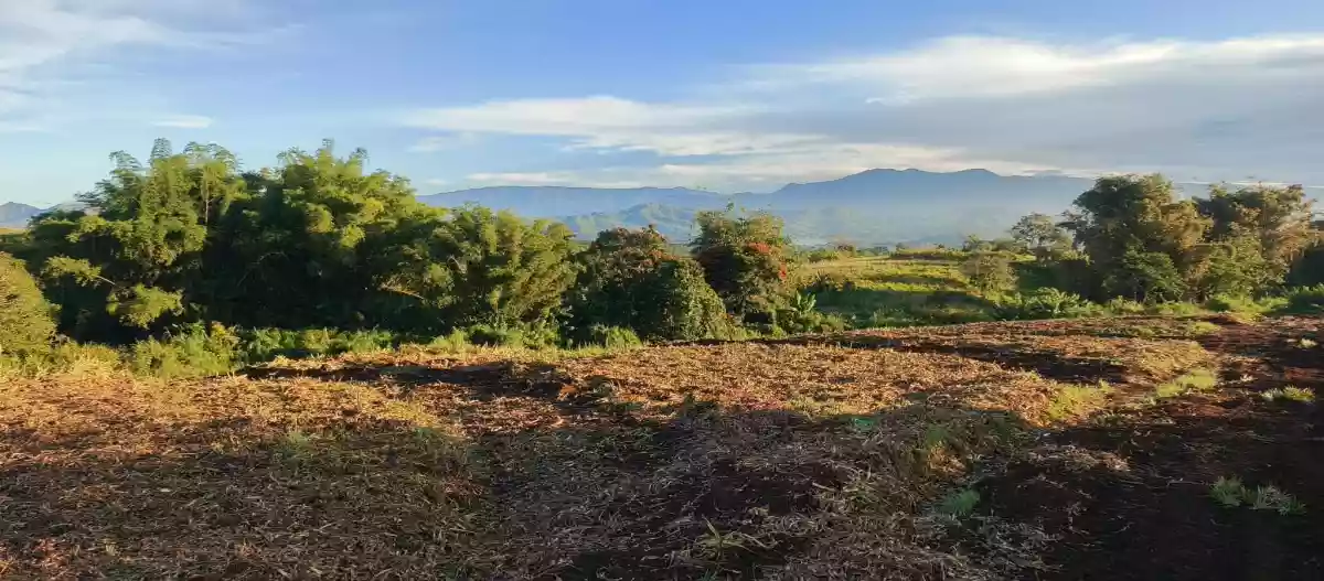 Kalasungay Agricultural Lot for Sale in Malaybalay — 326119 sqm Investment — Agricultural Lot in Malaybalay, Bukidnon, 8700 — Photo 4