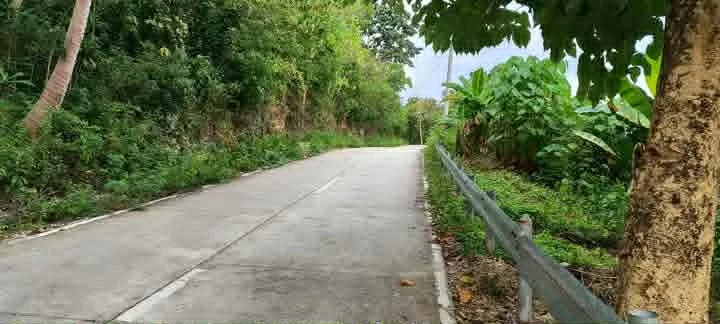 🌴 Prime 6,000 SQM Beach Lot for Sale Near Manami Resort & Pardis Resort | Sipalay City | Along Cemented Road — Beach Lot in Sipalay, Negros Occidental, 6113 — Photo 5