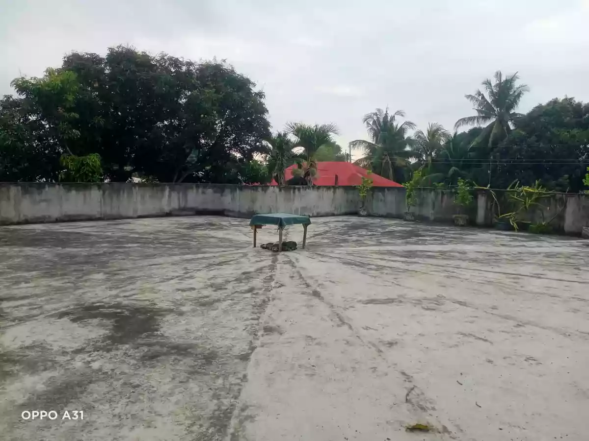 For Sale: 4BR House and Lot in Bolocboloc, Sibulan — 462 sqm lot — House and Lot in Bolocboloc, Sibulan, Negros Oriental — Photo 2