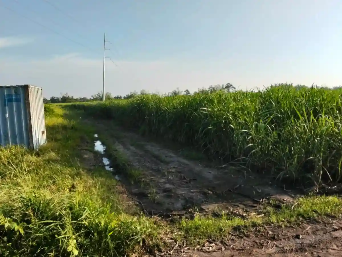 FOR SALE Agricultural Lot in Guinhalaran, Silay City — 20000 sqm