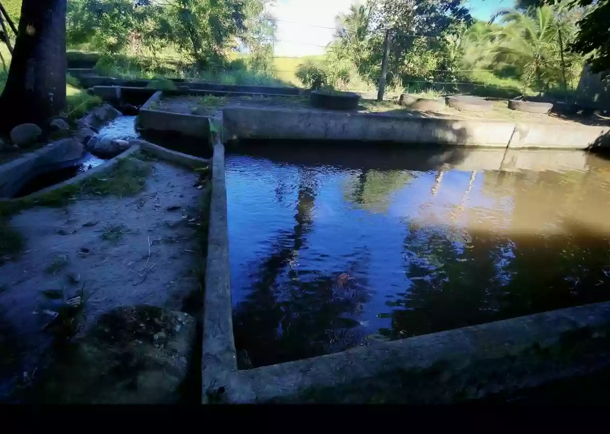 For Sale: Agricultural Lot in Mabuhay, Gen. Santos City — 50000 sqm — Agricultural Lot in Mabuhay, Gen. Santos City, South Cotabato — Photo 3