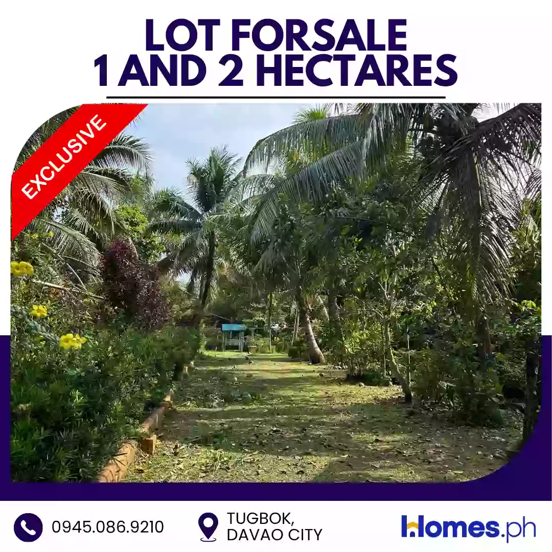 For Sale: Residential Lot in Tugbok (Pob.), Davao City — 30000 sqm — Residential Lot in Davao City, Davao del Sur, 8000 — Photo 2
