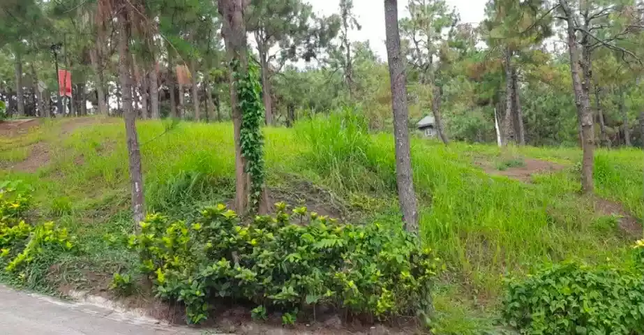 Rush Sale: LOW PRICE 340SQM RESIDENTIAL LOT INSIDE CROSSWINDS TAGAYTAY — Residential Lot in Tagaytay City, Cavite, 4120 — Photo 2