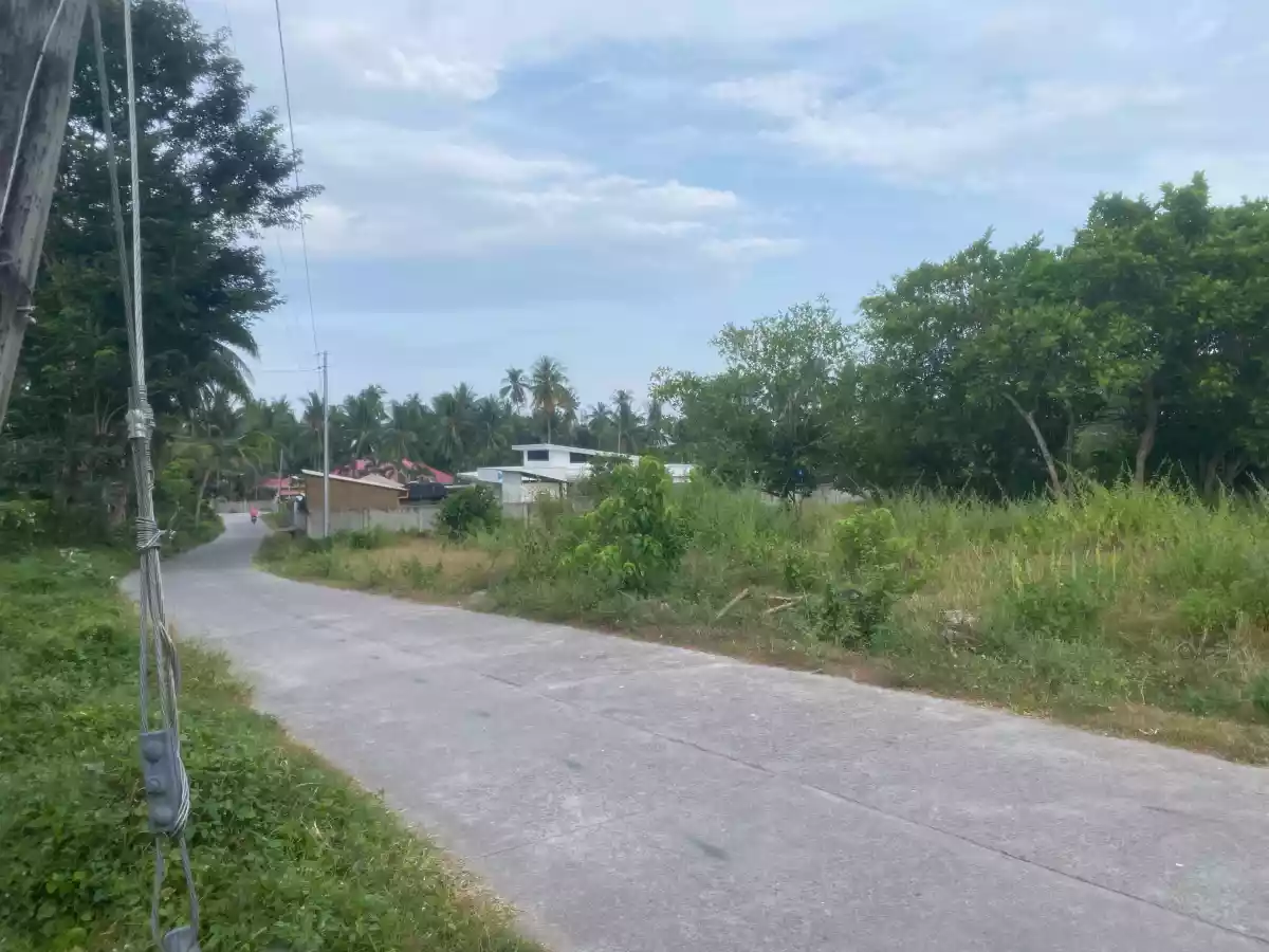 For Sale: Residential Lot in Bacung, Negros Oriental — 750 sqm — Residential Lot in Bacung, Negros Oriental, 6216 — Photo 4