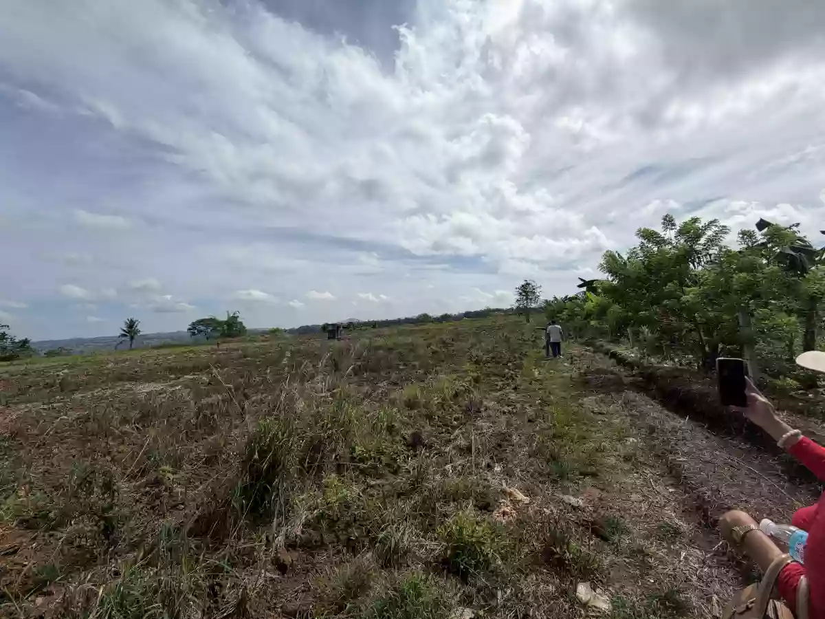 For Sale: Agricultural Lot in Liboran, Balungon, Bukidnon — 14000 sqm — Agricultural Lot in Balungon, Bukidnon, 8707 — Photo 3