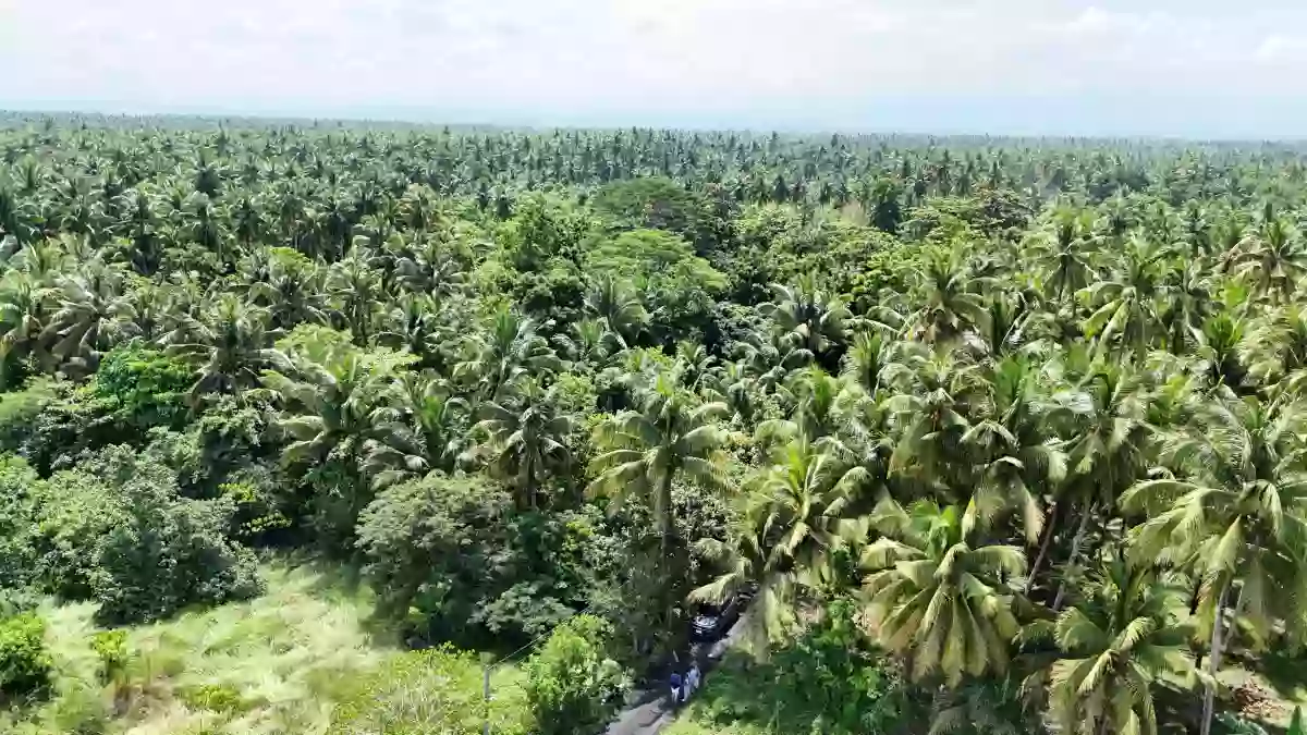 Rush Sale: Prime 3,500 SQM Lot in Lagao, General Santos City — Residential Lot in Katangawan, Gen. Santos City, South Cotabato — Photo 3
