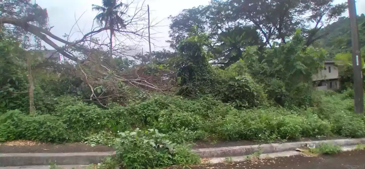 For Sale: Residential Lot in Pulangbato, Cebu City — 171 sqm — Residential Lot in Cebu City, Cebu, 6000 — Photo 5