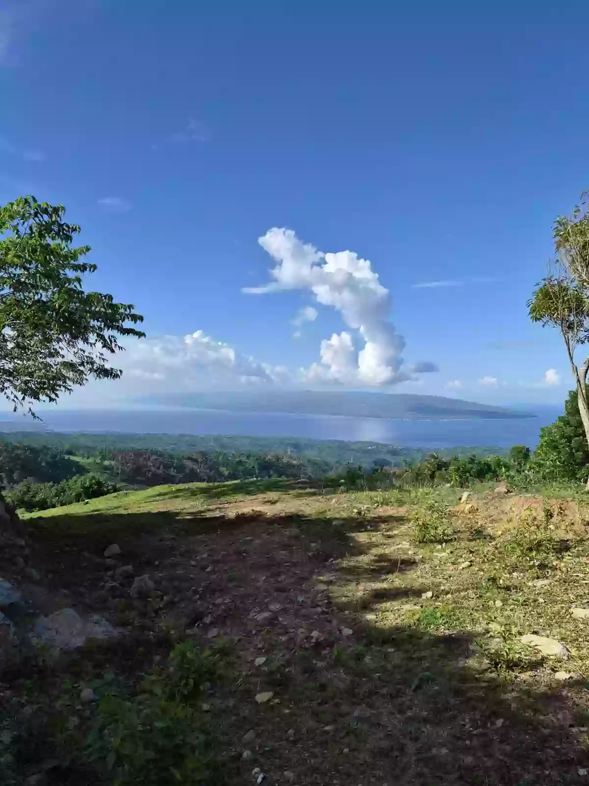 For Sale: Overlooking Lot in San Antonio, Sibulan — 338 sqm