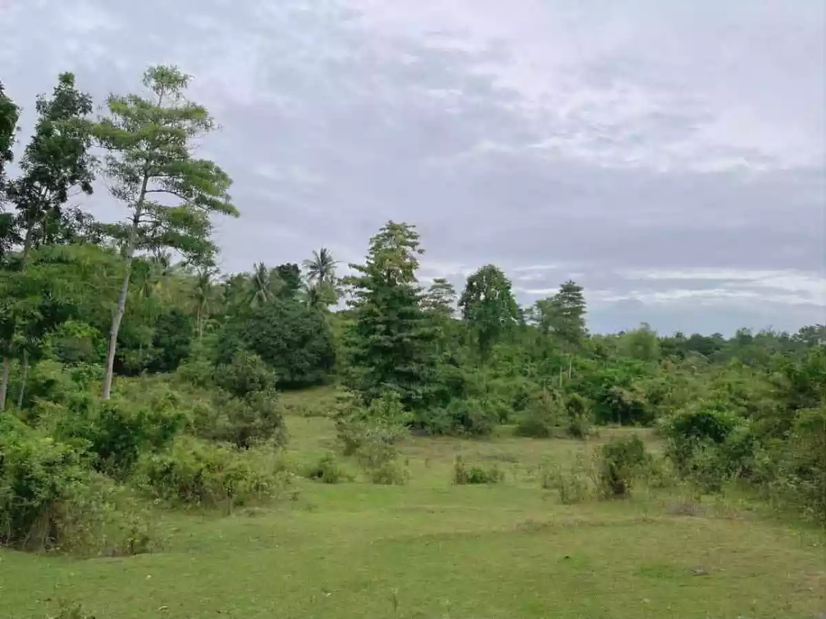 Agricultural Lot for Sale Near Camp Serenity, Nueva Valencia — Calaya