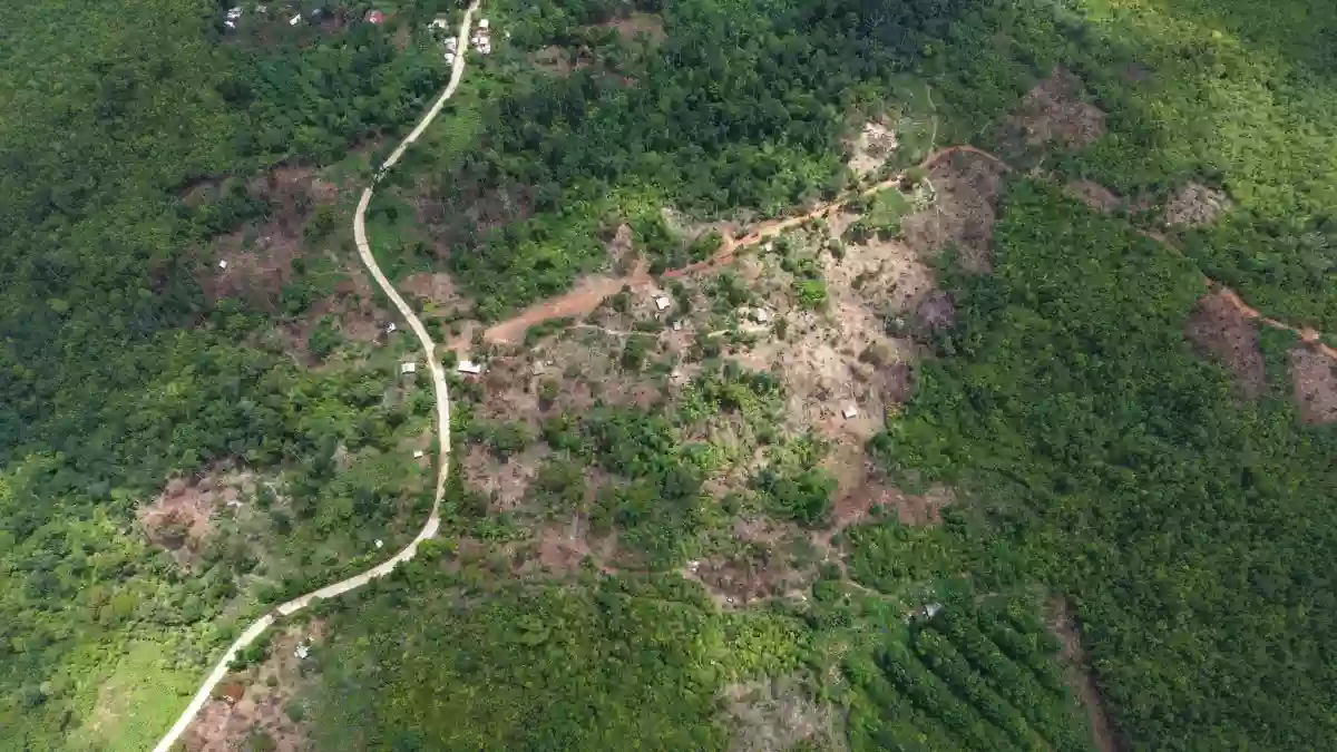 AGRICULTURAL LAND FOR SALE AT PUERTO PRINCESA CITY PALAWAN