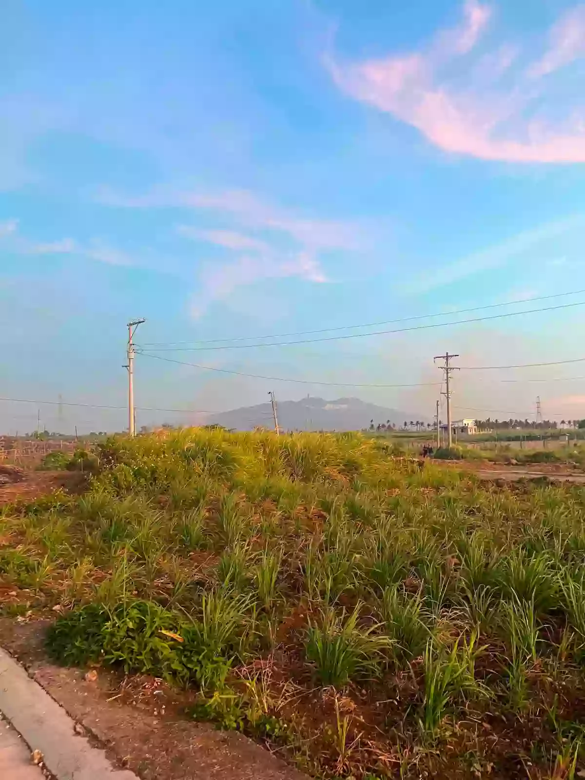 Lot for Assume in Casa Alegria — Residential Lot in Bacolod City, Negros Occidental, 6100 — Photo 3
