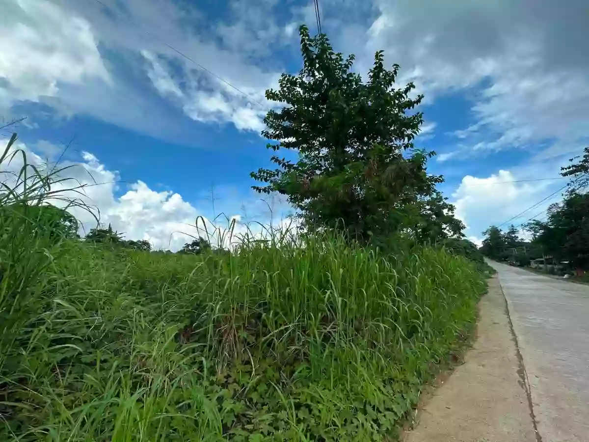 For Sale: Commercial/Residential Lot in Sicsican, Puerto Princesa City, Palawan — Commercial Lot in Puerto Princesa City, Palawan, 5300 — Photo 2