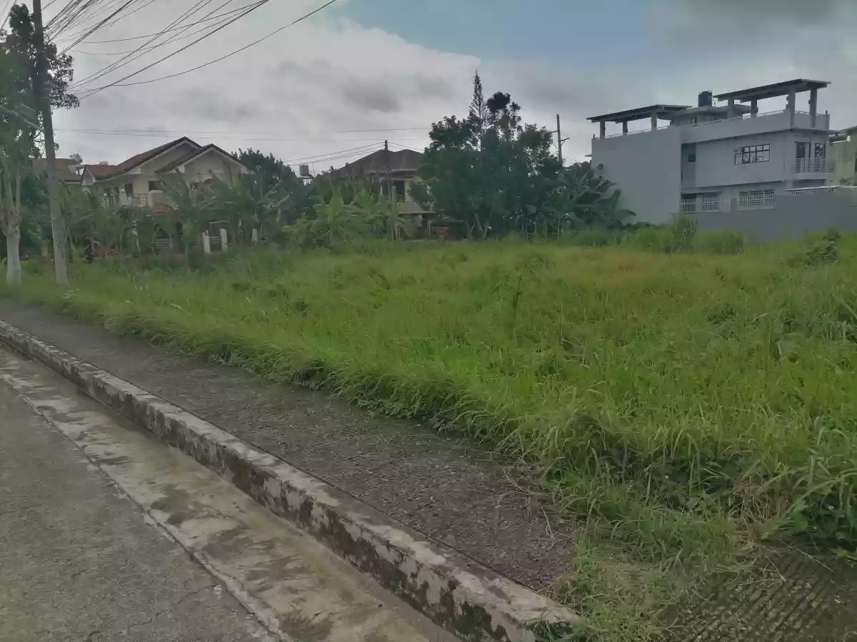 Rush Sale: High-end Lot near City Center with flexible cut. — Residential Lot in Iloilo City, Iloilo, 5000 — Photo 4