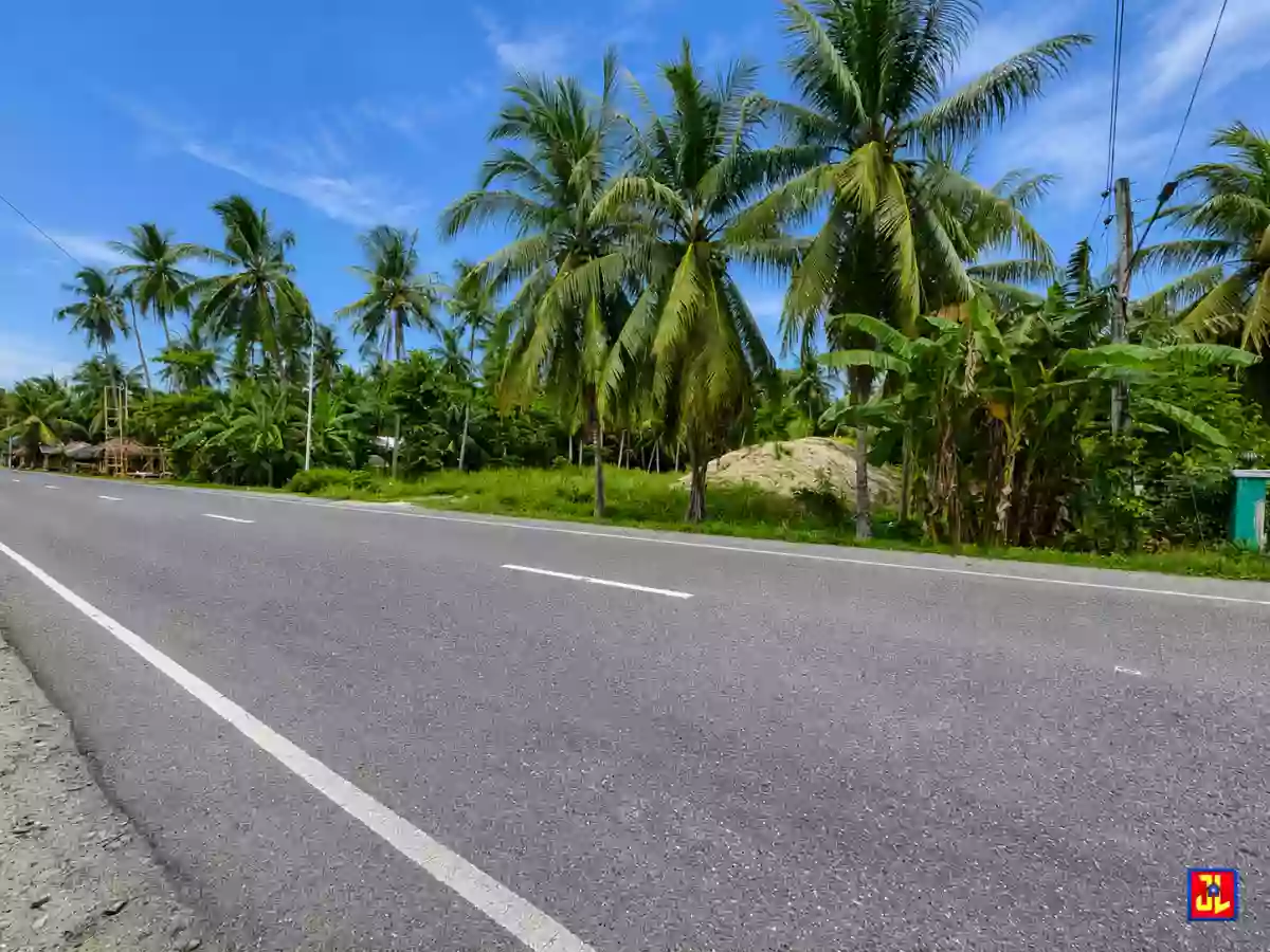 For Sale: 2,644sqm Lot along National Highway Jilocon, San Jose, Negros Oriental [available] — Commercial Lot in San Jose, Negros Oriental, 6202 — Photo 3