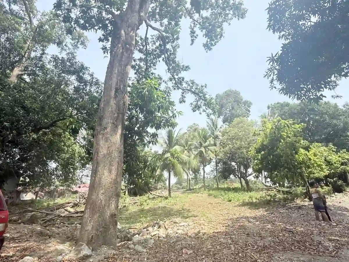 for sale Residential Lot in Buhangin (Pob.), Davao City — 40314 sqm — Residential Lot in Buhangin (Pob.), Davao City, Davao del Sur — Photo 4