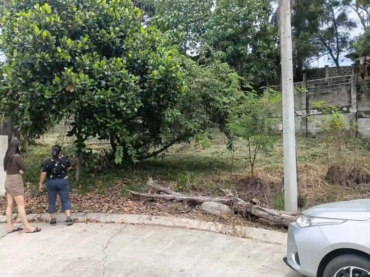 For Sale: Residential Lot in Lumbia, Cagayan de Oro City — Investment Lot — Residential Lot in Lumbia, Cagayan de Oro City, Misamis Oriental — Photo 2