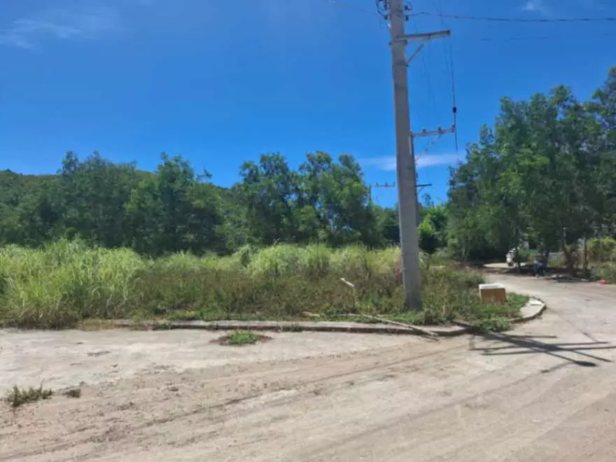 FOR SALE: PRIME LOT IN POLOG, CONSOLACION, CEBU - photo 4