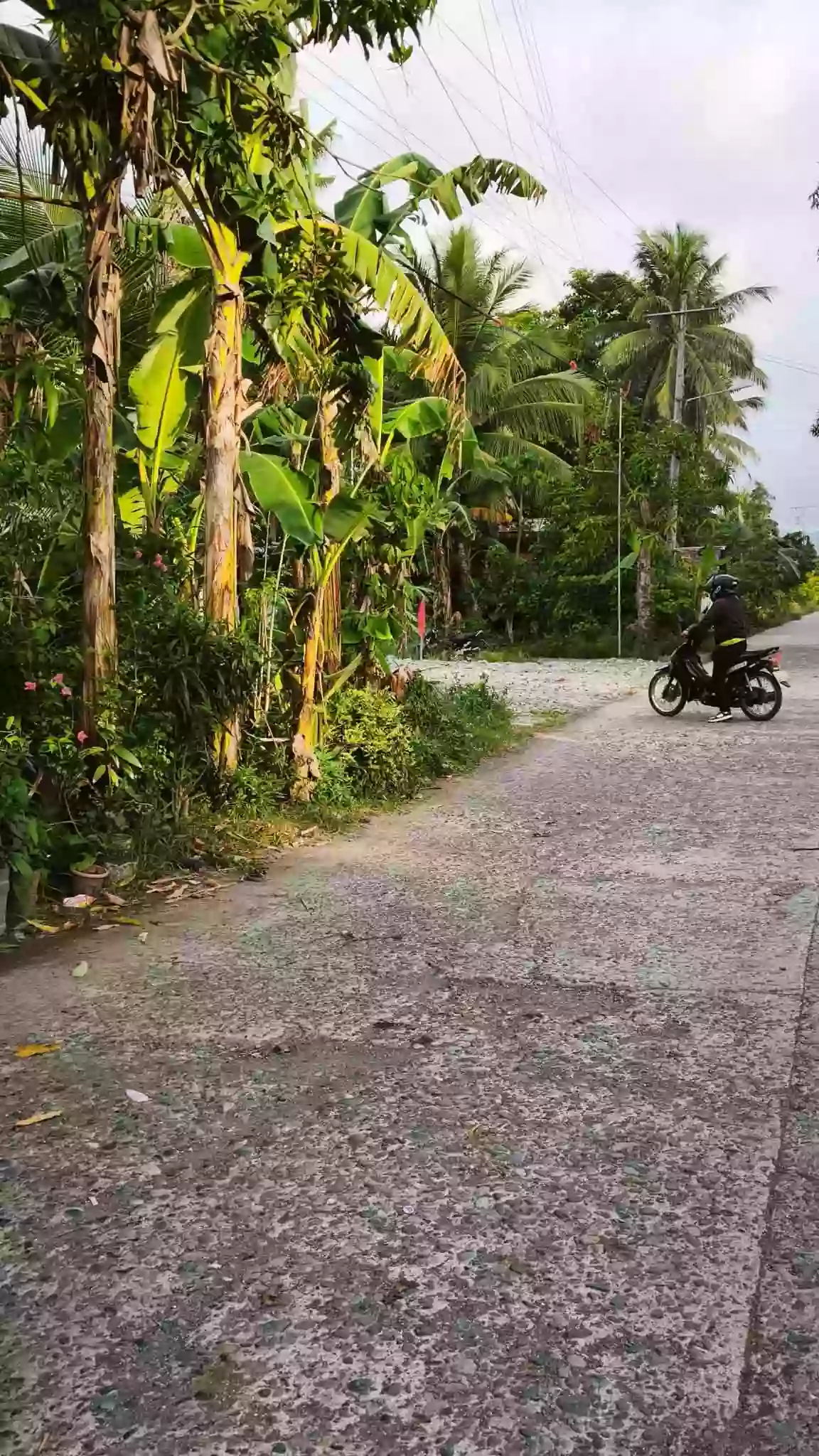 Rush Sale: Agricultural Lot in Abilan, Buenavista — 1000 sqm — Agricultural Lot in Buenavista, Agusan del Norte, 8601 — Photo 2