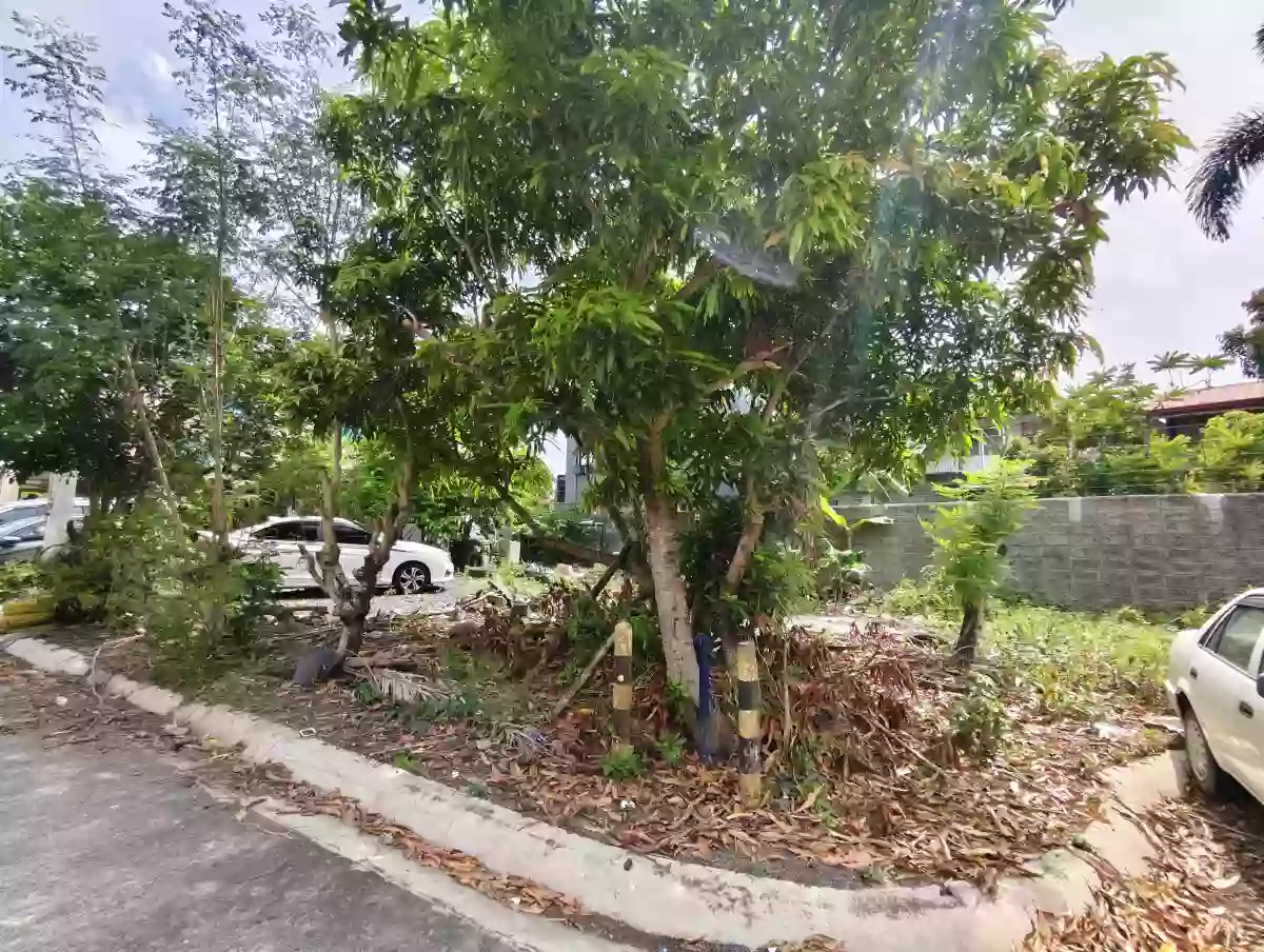 For Sale: Residential Lot in Concepcion Grande, Naga City — 171 sqm — Residential Lot in Concepcion Grande, Naga City, Camarines Sur — Photo 3