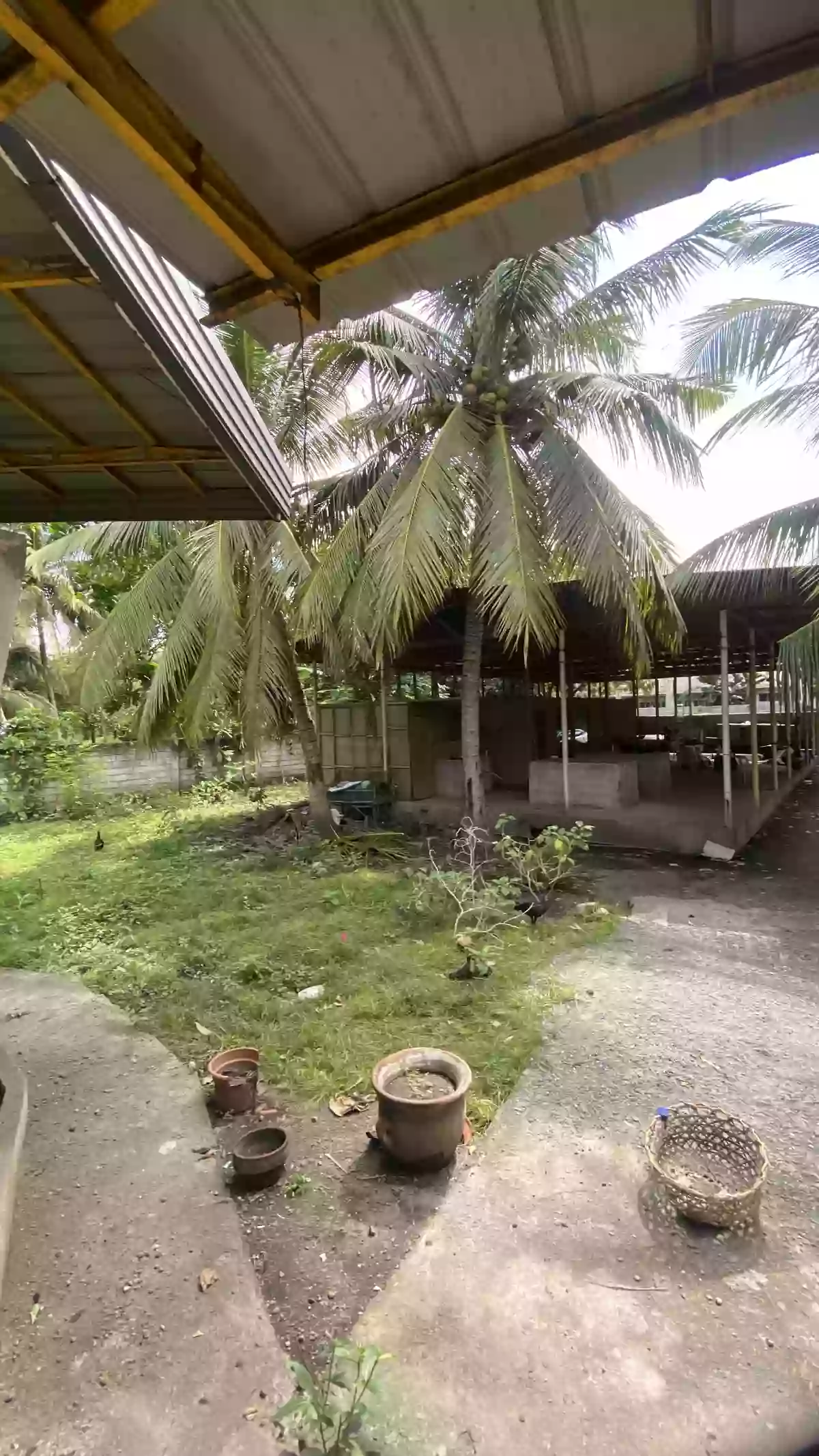 Rush Sale: 5BR House and Lot in Katangawan, General Santos City 3013 sqm — House and Lot in Katangawan, General Santos City, South Cotabato — Photo 3