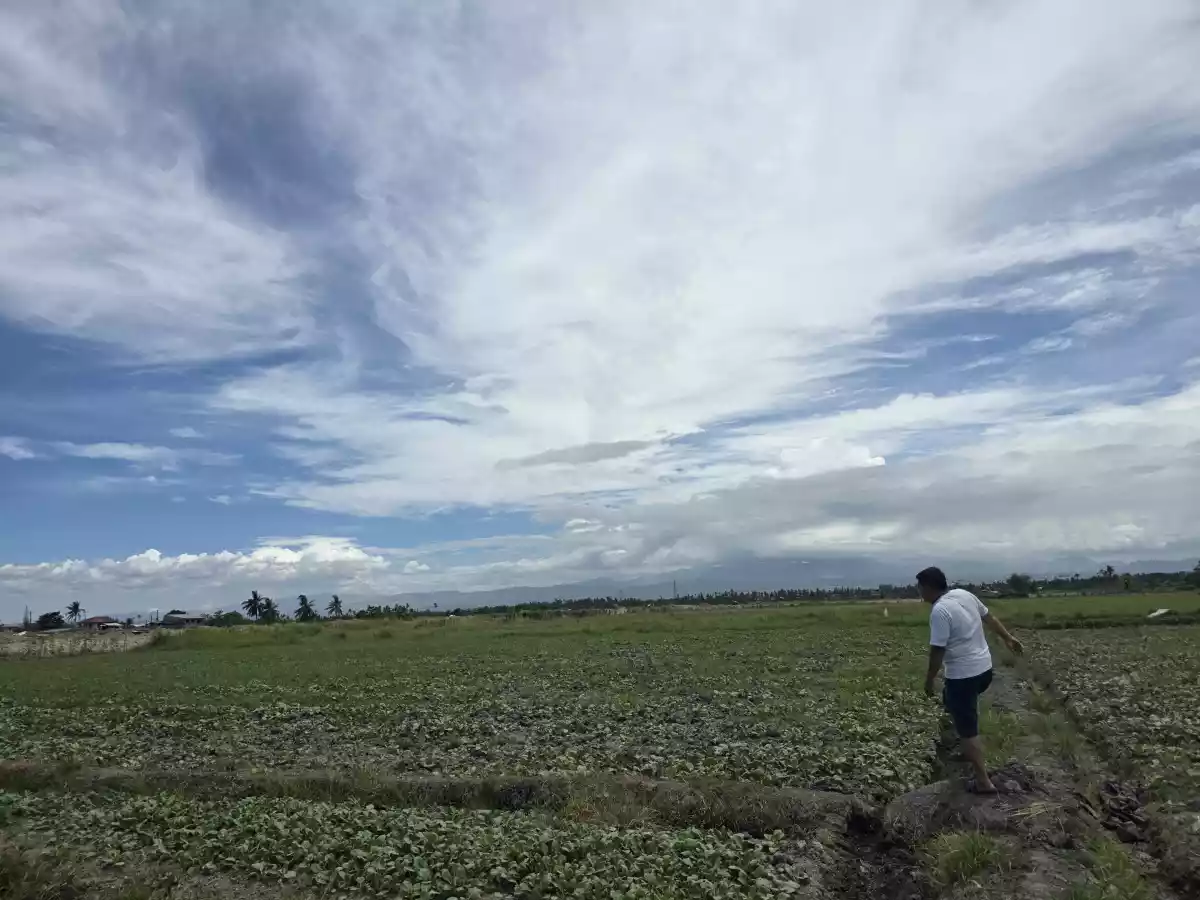 Two  Adjacent Residential Lots of 1,198sqm each for Sale — Residential Lot in General Santos City, South Cotabato, 9500 — Photo 2
