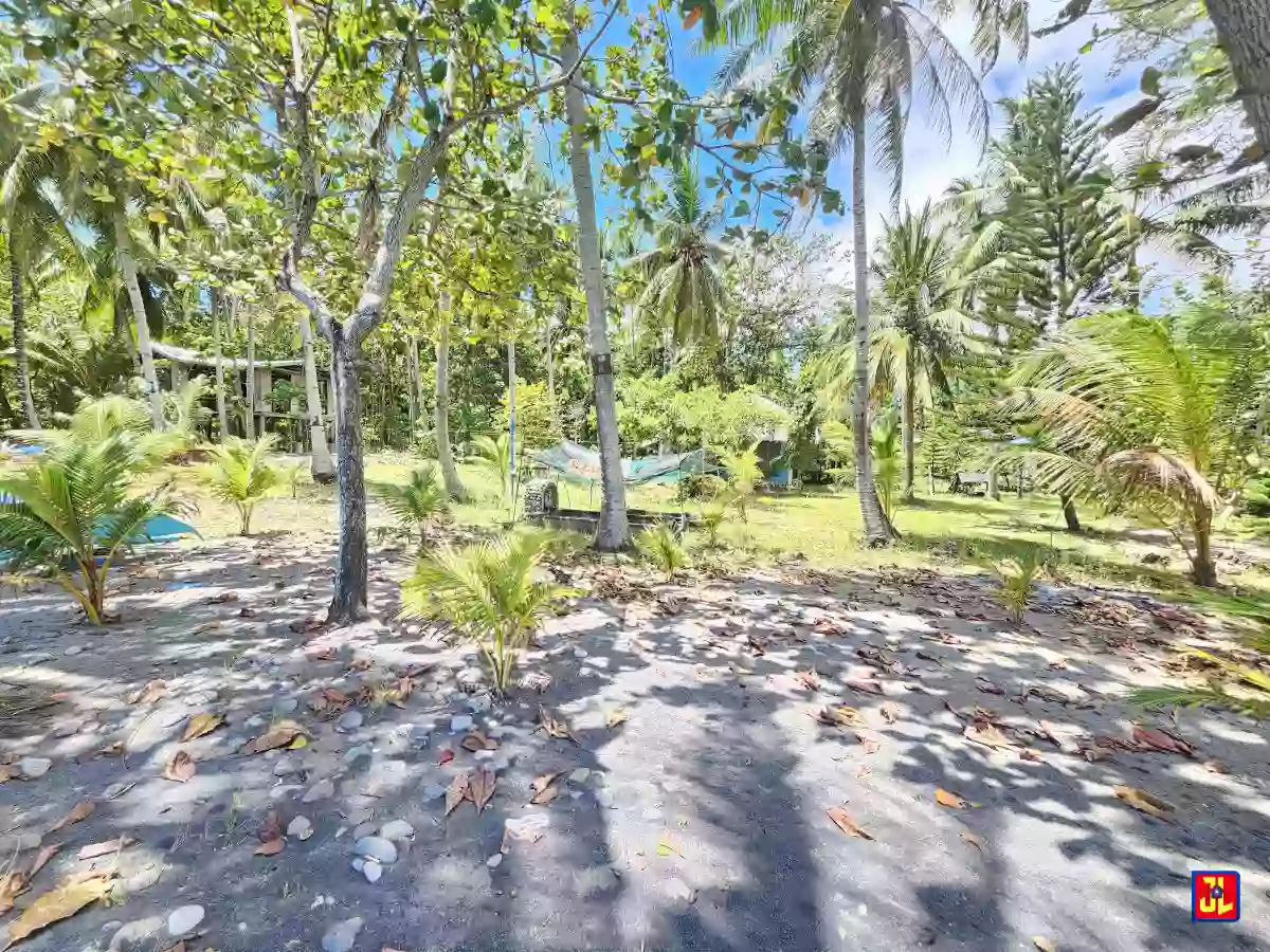 Rush Sale 28,265sqm Beach Lot in Maayongtubig, Dauin, Negros Oriental [available] — Beach Lot in Dauin, Negros Oriental, 6217 — Photo 2