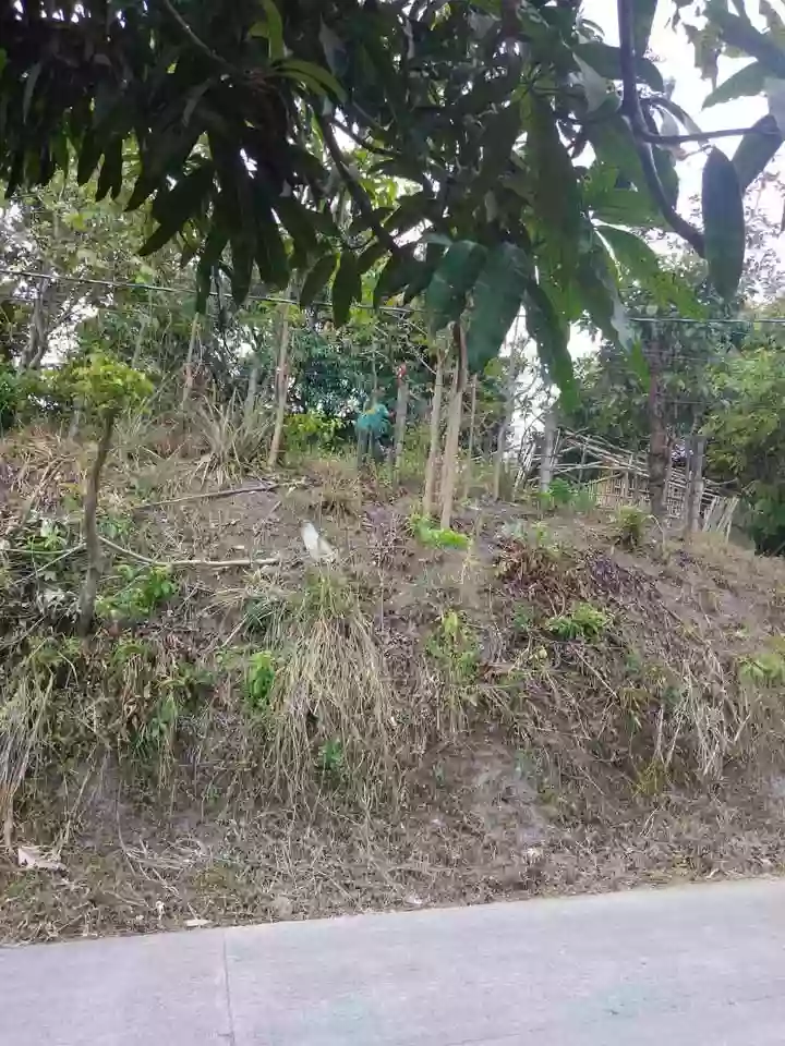 For Sale: Residential Lot in Macabud, Montalban (Rodriguez) — 854 sqm