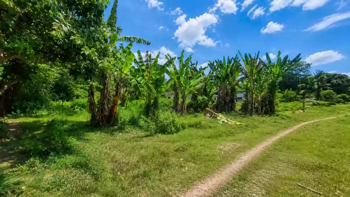 RESIDENTAIL LOT FOR SALE IN DUMAGUETE CITY