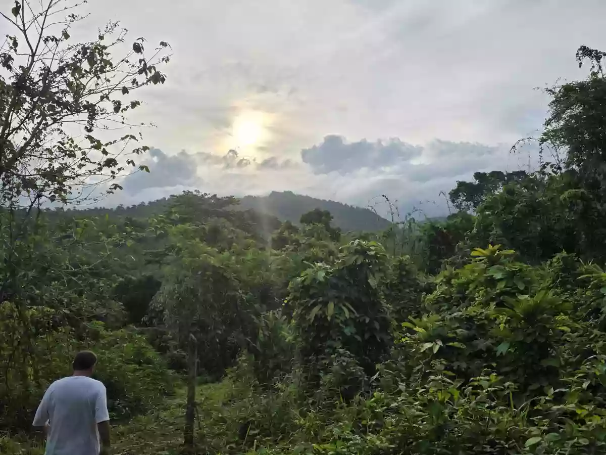 Own a place where nature's beauty becomes part of your everyday LIFE — Agricultural Lot in Irawan, Puerto Princesa City, Palawan — Photo 5