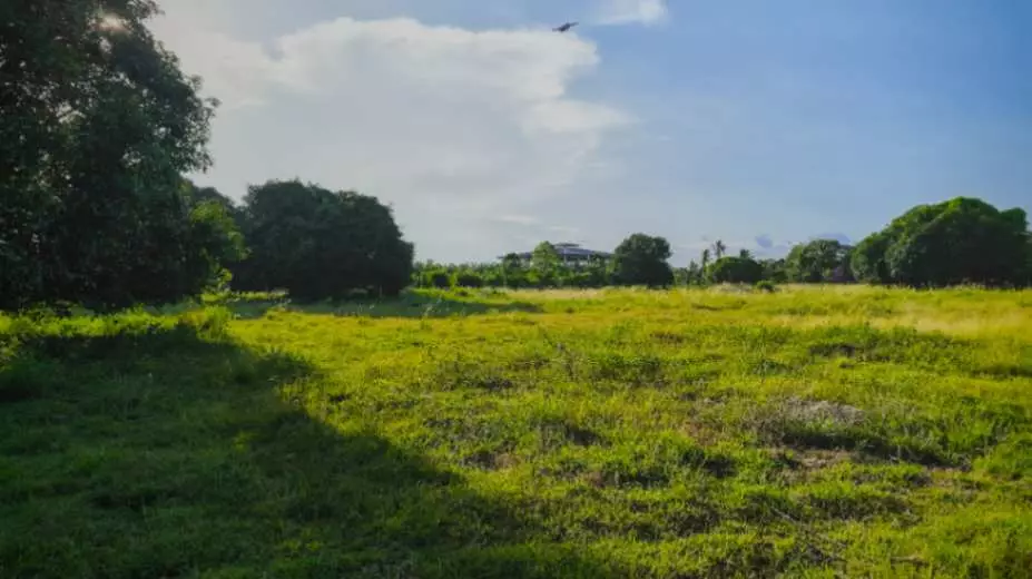 For Sale: 2 Hectare Lot in Poblacion, Alabel, Sarangani – Ideal for Investment - photo 5