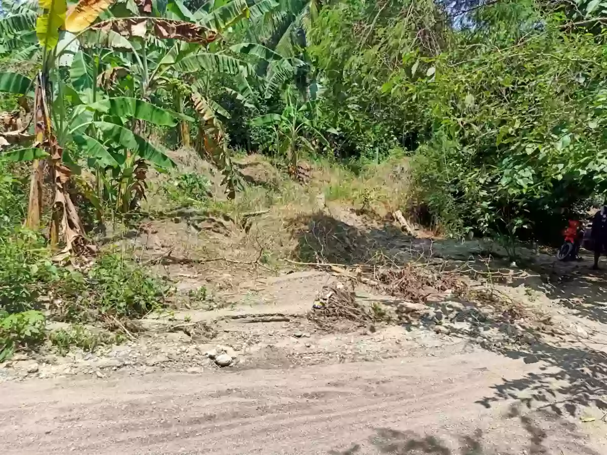 Agricultural land for sale not CLOA title , Barangay Alegria , Alabel , Sarangani — Agricultural Lot in Alabel, Sarangani, 9501 — Photo 3