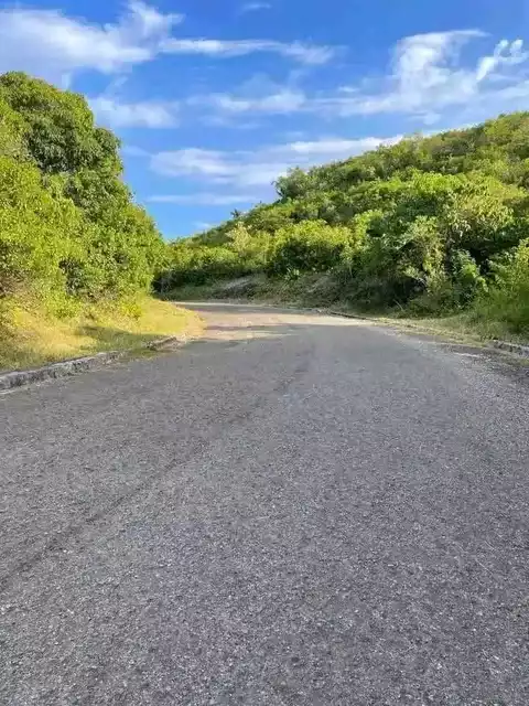 For Sale: Residential Lot in Sabang, Danao City — 3081 sqm — Residential Lot in Danao City, Cebu, 6004 — Photo 7