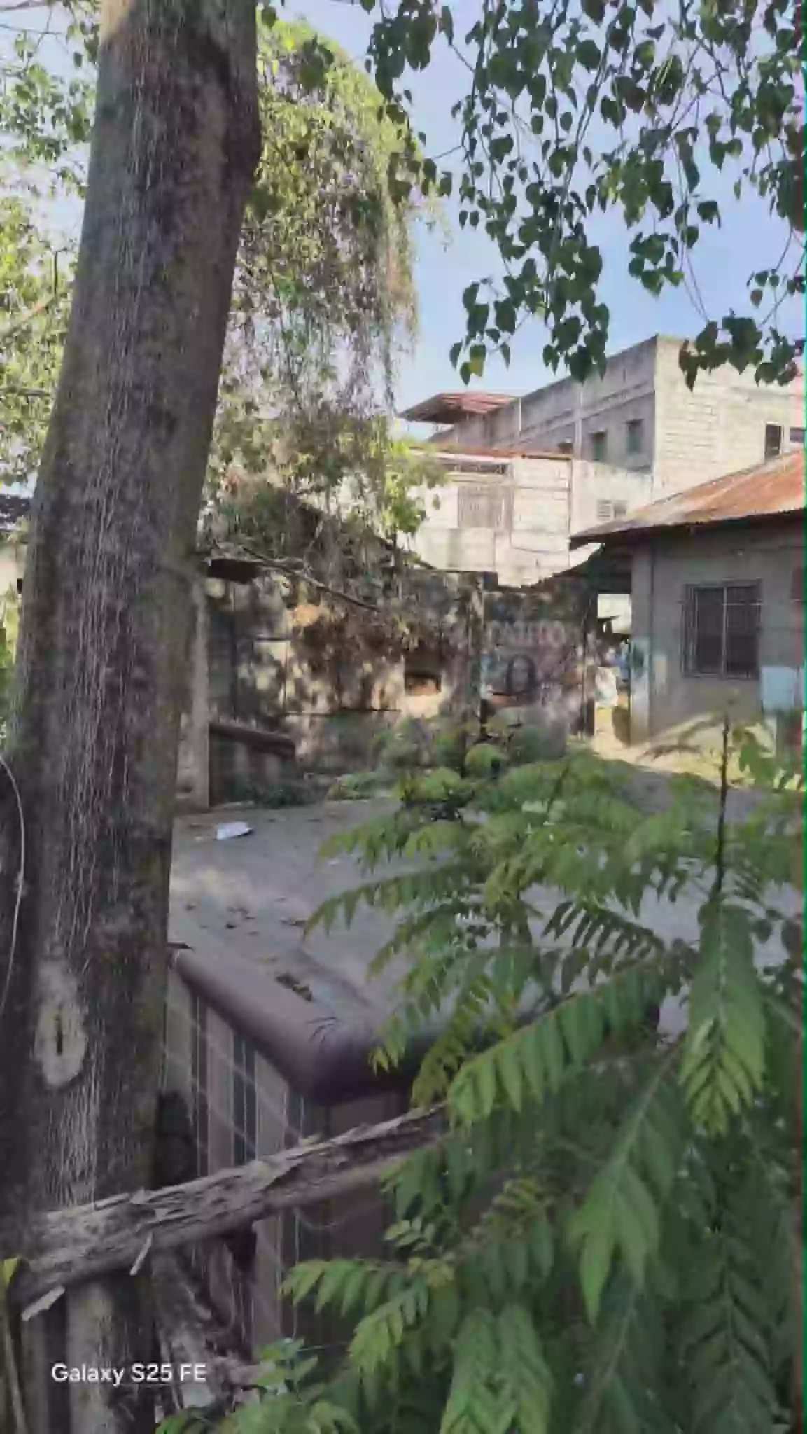 For Sale: Commercial Lot in Taclobo, Dumaguete City — 257 sqm — Commercial Lot in Taclobo, Dumaguete City, Negros Oriental — Photo 3