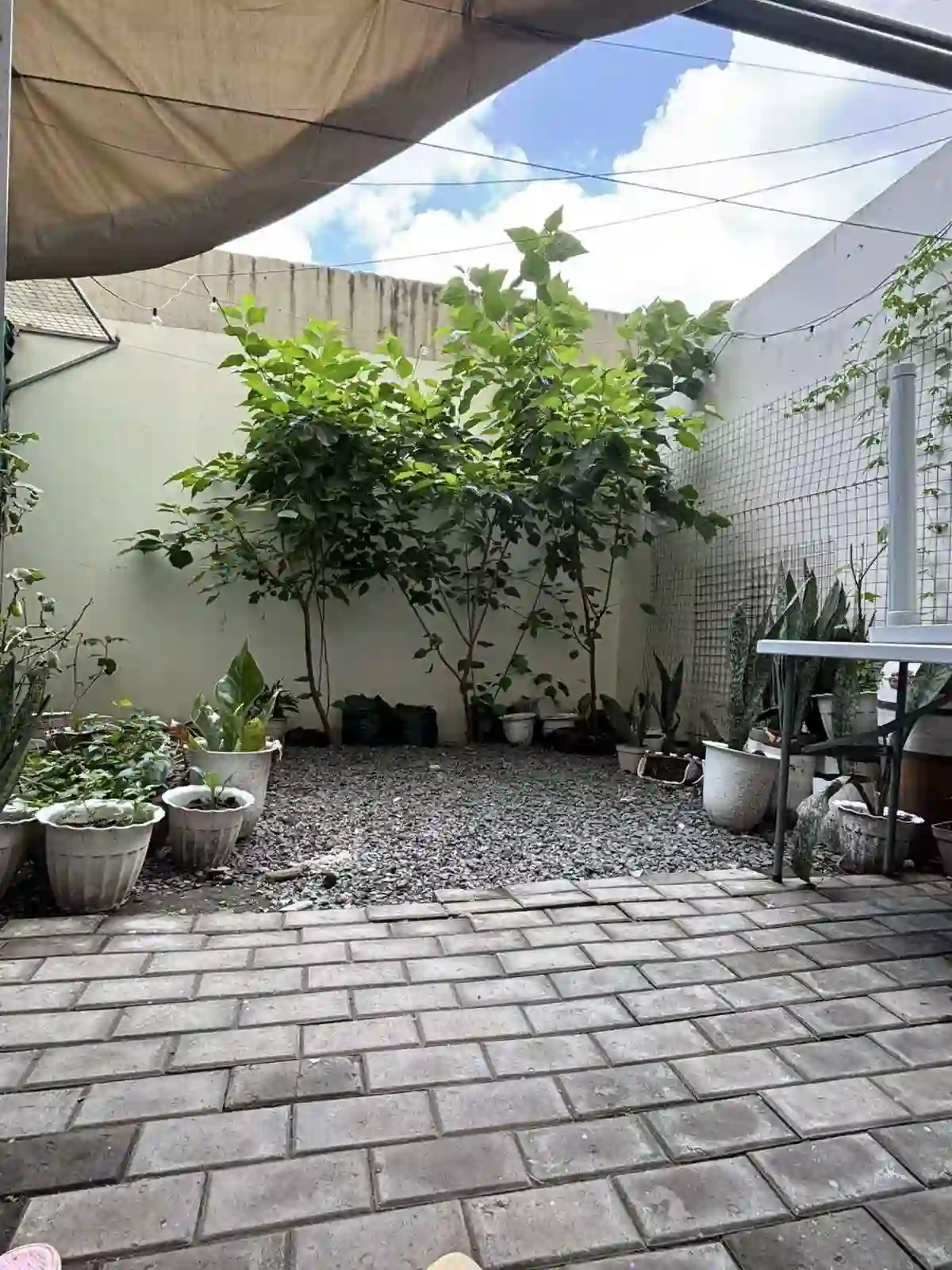 For Rent: Centropolis Communities 2BR Condo in Sucat, Muntinlupa City — 2 Baths — 2 Bedrooms in West Service Road, Sucat, Sucat — Photo 7