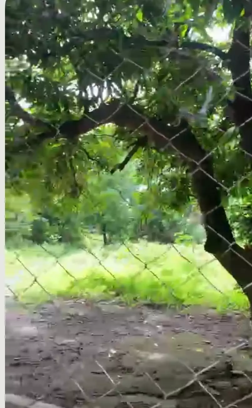 Commercial Lot For Sale 2,000 sqm. — Commercial Lot in Plaridel, Bulacan, 3004 — Photo 6