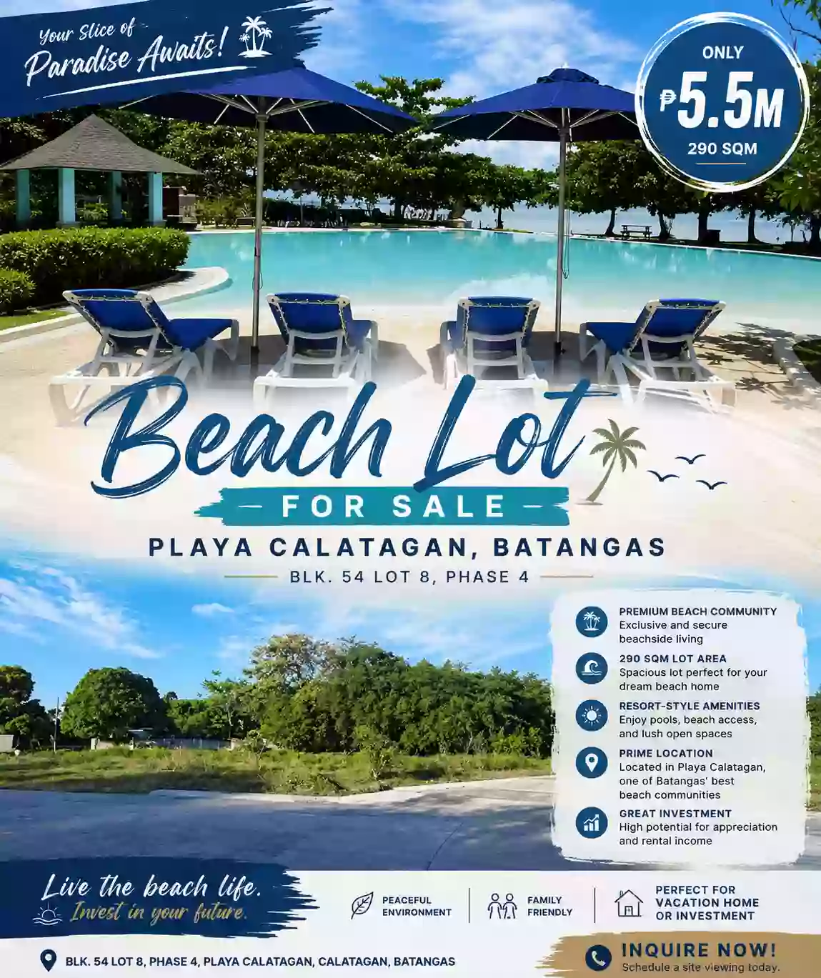 For Sale: Beach Lot in Santa Ana, Calatagan — 290 sqm